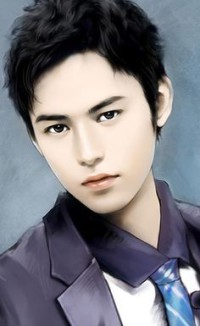 (綜漫同人)最強的老婆是魔法少女