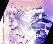 (網王同人)他們說,壞女孩也可以得到愛情