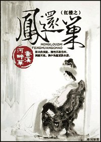 (紅樓同人)紅樓之鳳還巢
