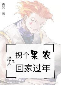 (獵人同人)獵人之拐個果農回家過年