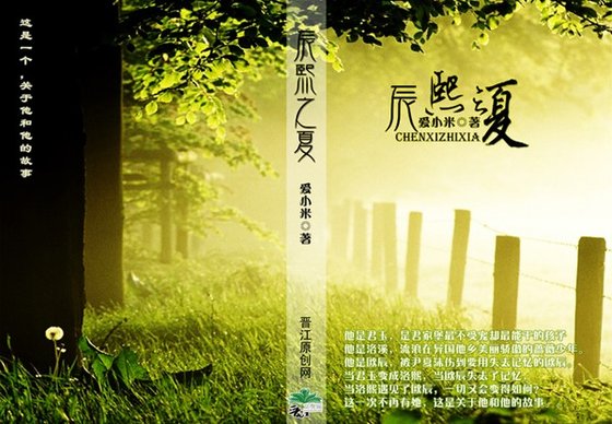 辰熙之夏