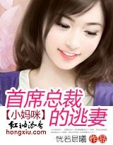 四神集团①:首席总裁的逃妻