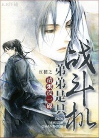 (红楼同人)红楼之弟弟是只战斗机