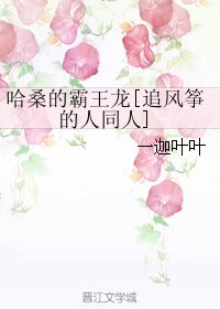 (BL/追風箏的人同人)哈桑的霸王龍
