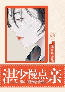 暖婚綿綿:湛少慢點親