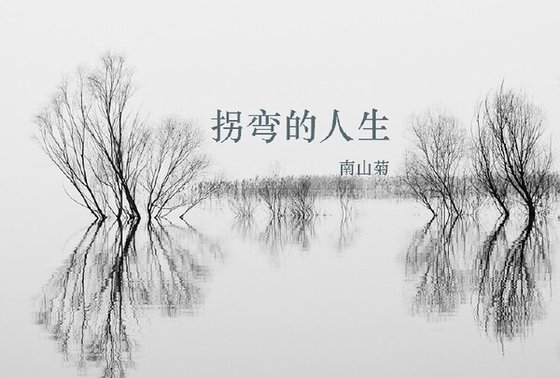 (綜電視劇同人)拐彎的人生