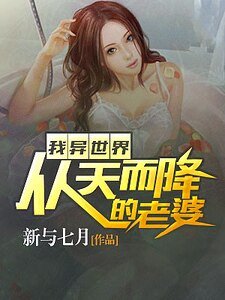 我異世界從天而降的老婆