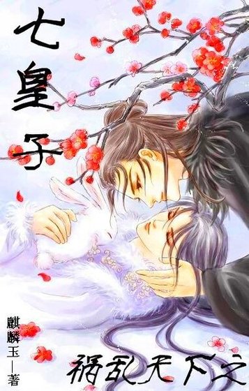 禍亂天下之七皇子