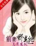 总裁发飙:前妻,哪里逃
