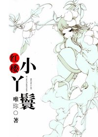 （BG/红楼梦同人）红楼小丫鬟
