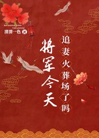 將軍今天追妻火葬場了嗎