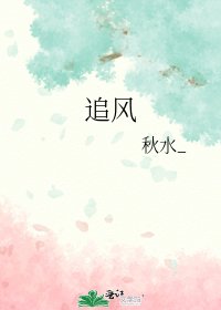 追风