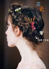 重生之苏瓷
