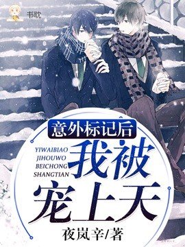 【ABO】意外標記後我被寵上天