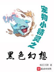 (精灵宝可梦同人)精灵之黑色幻想