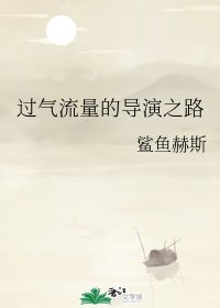 过气流量的导演之路