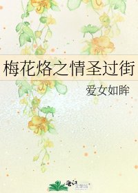 梅花烙之情圣过街