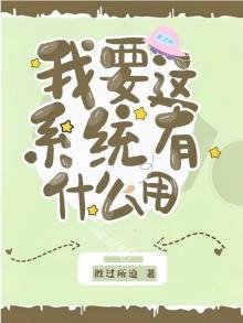 我要这系统有什么用
