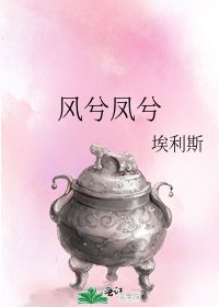 风兮凤兮