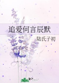 追爱何言辰默