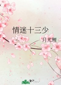 情迷十三少