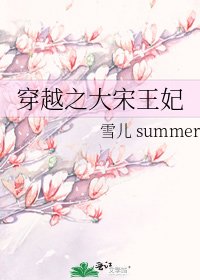 穿越之大宋王妃