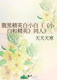 小白和精英