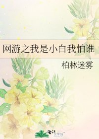 网游之我是小白我怕谁