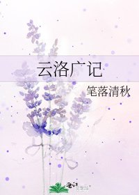 云洛广记