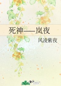 死神——嵐夜