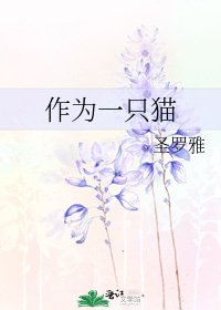 作為一隻貓