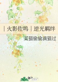 ｜火影佐鸣｜逆光羁绊