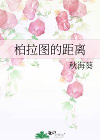 柏拉圖的距離