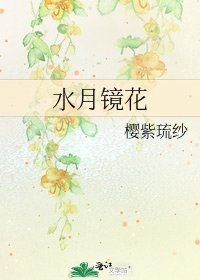 水月鏡花