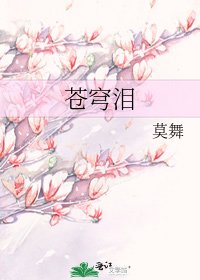 苍穹泪