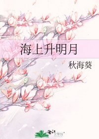 海上升明月