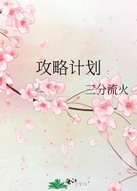攻略计划