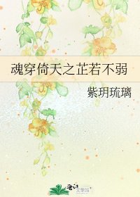 魂穿倚天之芷若不弱