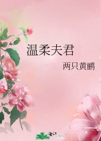 温柔夫君