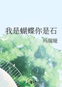 我是蝴蝶你是石