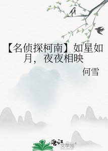 【名侦探柯南】如星如月,夜夜相映