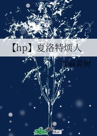 【hp】夏洛特烦人