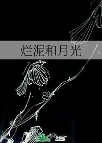 烂泥和月光