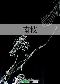 南枝