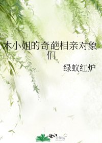 木小姐的奇葩相親物件們