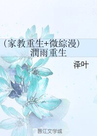 (BL/综同人)(家教重生+微综漫)潤雨重生/润雨重生
